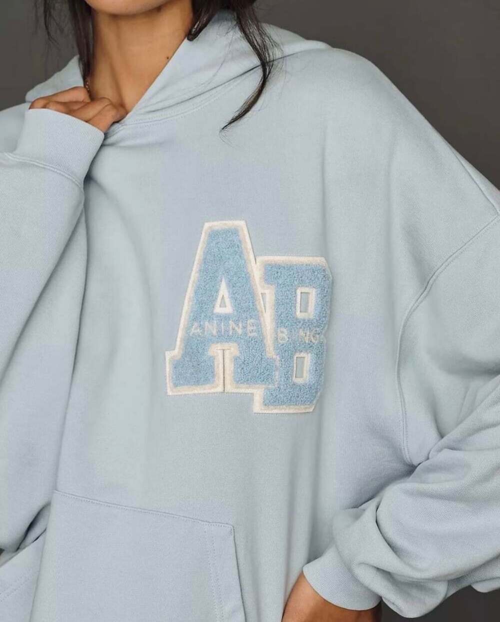 Anine Bing Harvey Hoodie Pastel Blue